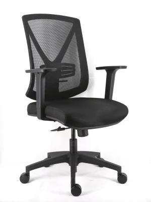 1 Lever Seat up and Down Mechanism Mesh Upholstery Backrest with Lumbar Support Adjustable Armrest Nylon Base Chair