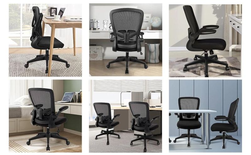 Li&Sung Ergonomic Adjustable Height Lumbar Support Swivel Mesh Chair