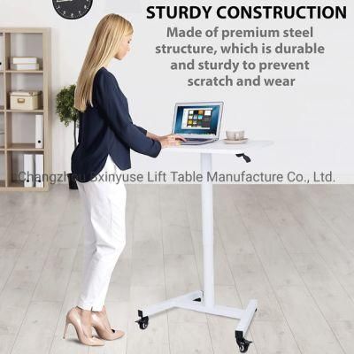 Sit and Stand Table Gas Spring Metal Desk Workstation