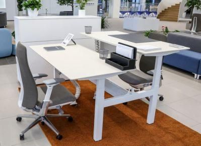 Office Abjustable Desk 4 People Desk Adjustable Desk Office Desk