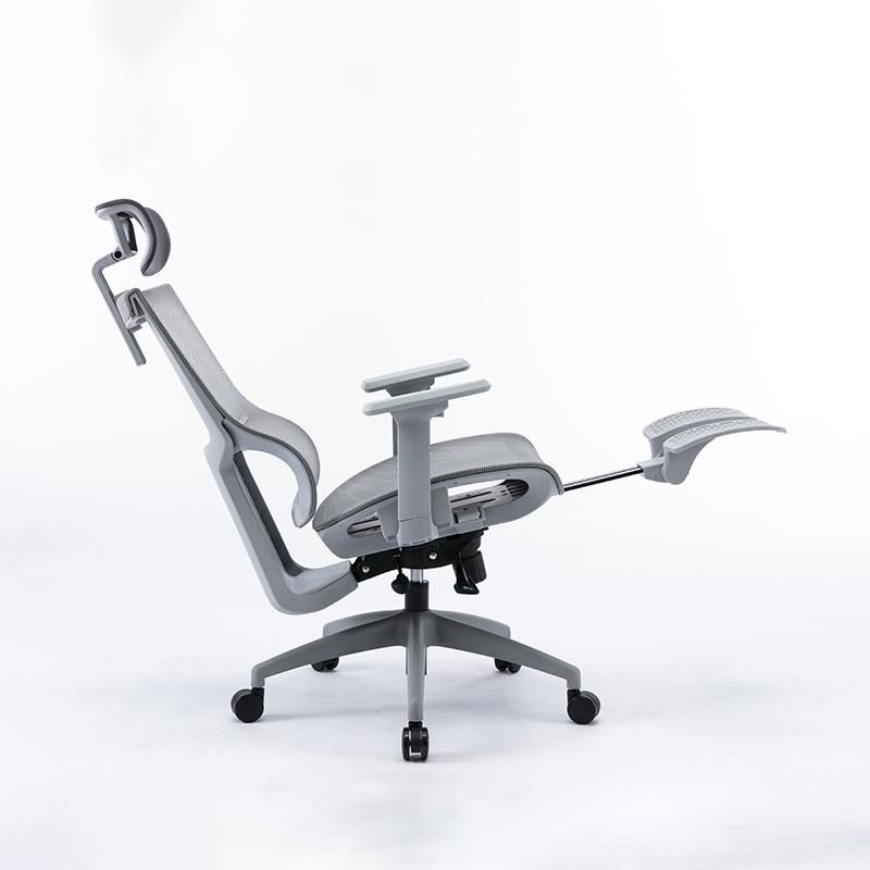 Li&Sung Ergonomic Computer Swivel Mesh Chair