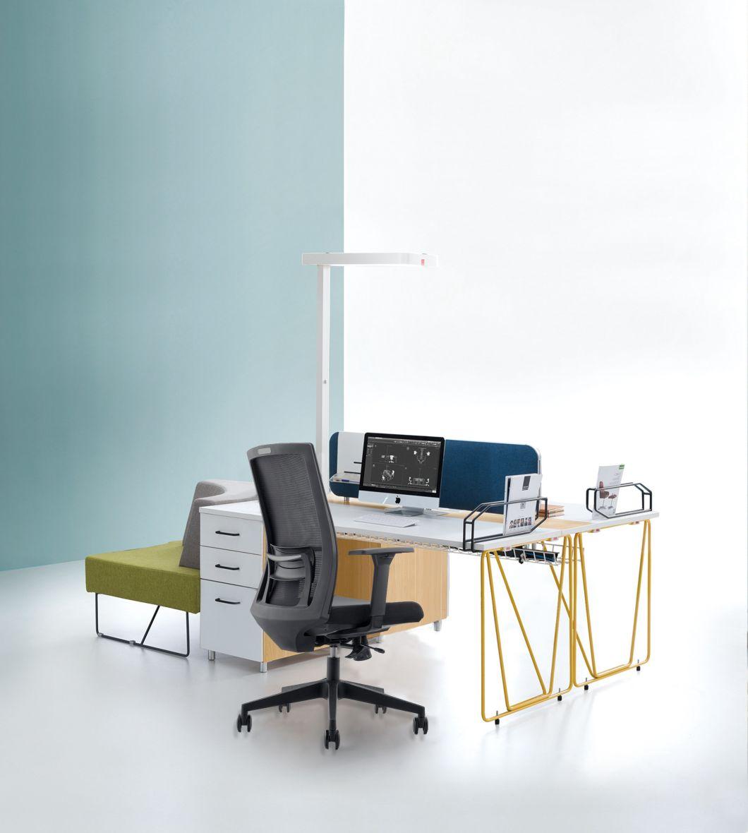 up and Down Lumber Support Mesh Ergonomic Chair Office Furniture