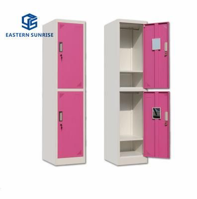 Staff Storage Locker Metal 2 Door Cheap Locker