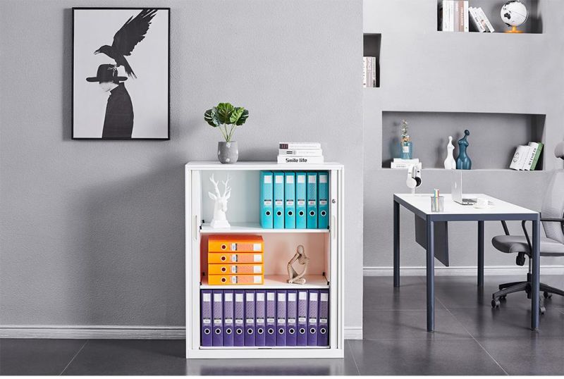 Small Tambour Door Office Cabinet File Storage