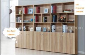 Freely Combination Larger Book Case