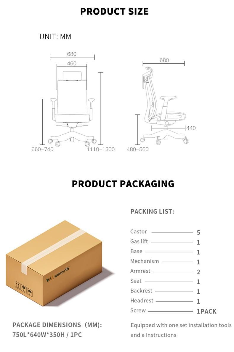 Li&Sung 10002 Adjustable Armrest Ergonomic Desk Office Mesh Chair