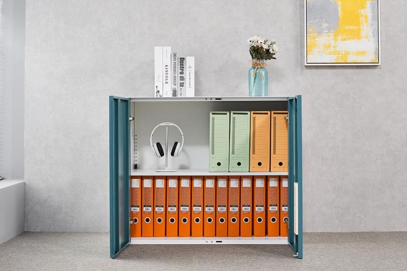 Steel Locker Filing Cabinet with Swing Door