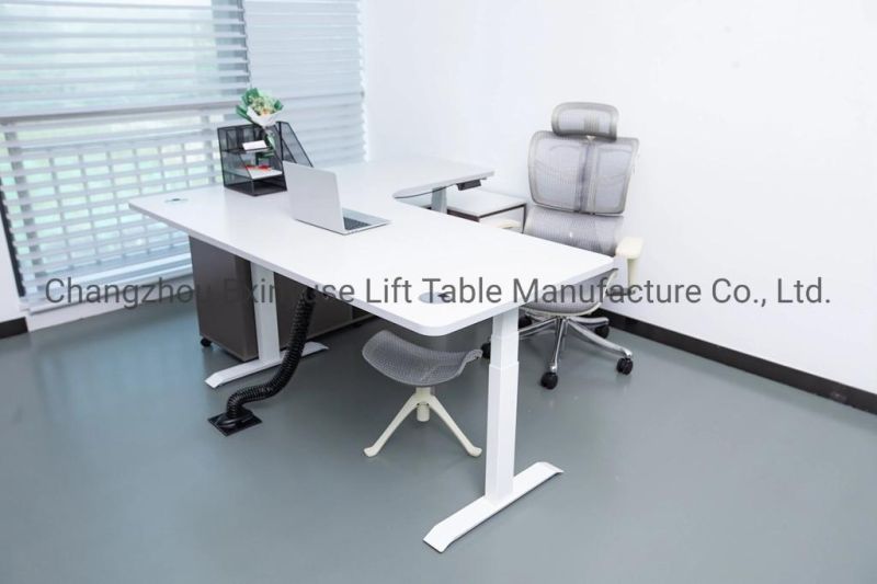 55 Inch Working Desk Height Adjustable Desk