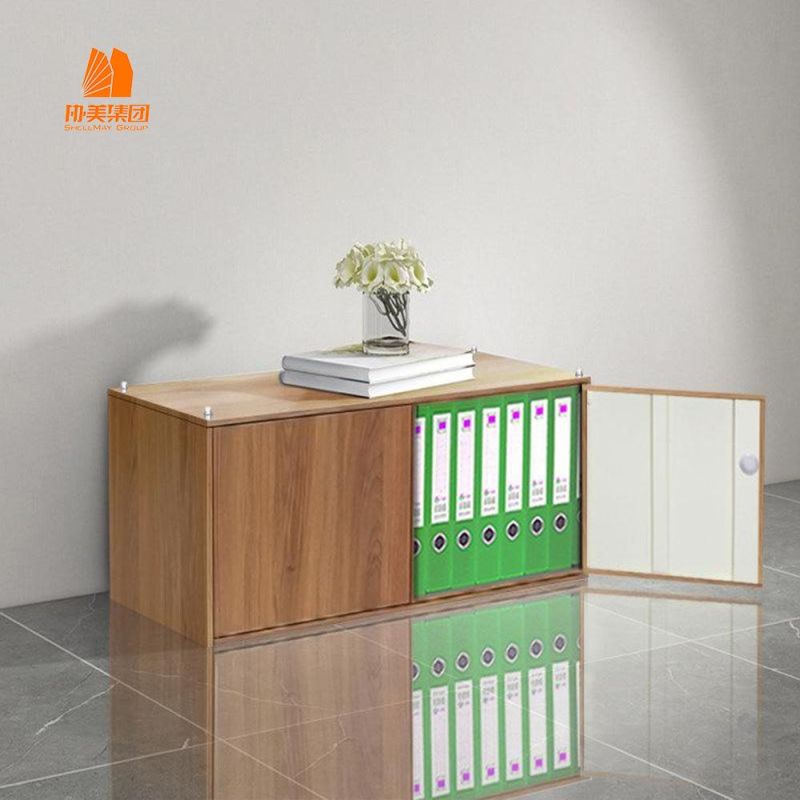 High Quality Metal Furniture 2 Door File Storage, Filing Cabinet