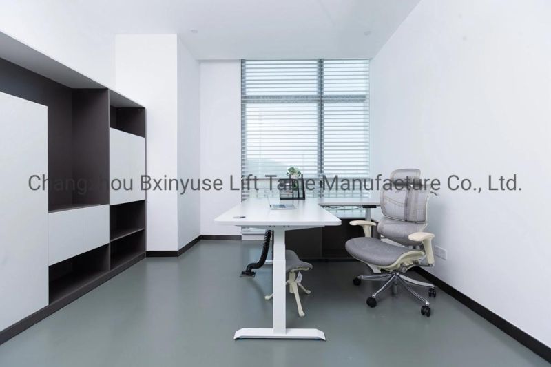 China Factory Dual Motors Table Home Table