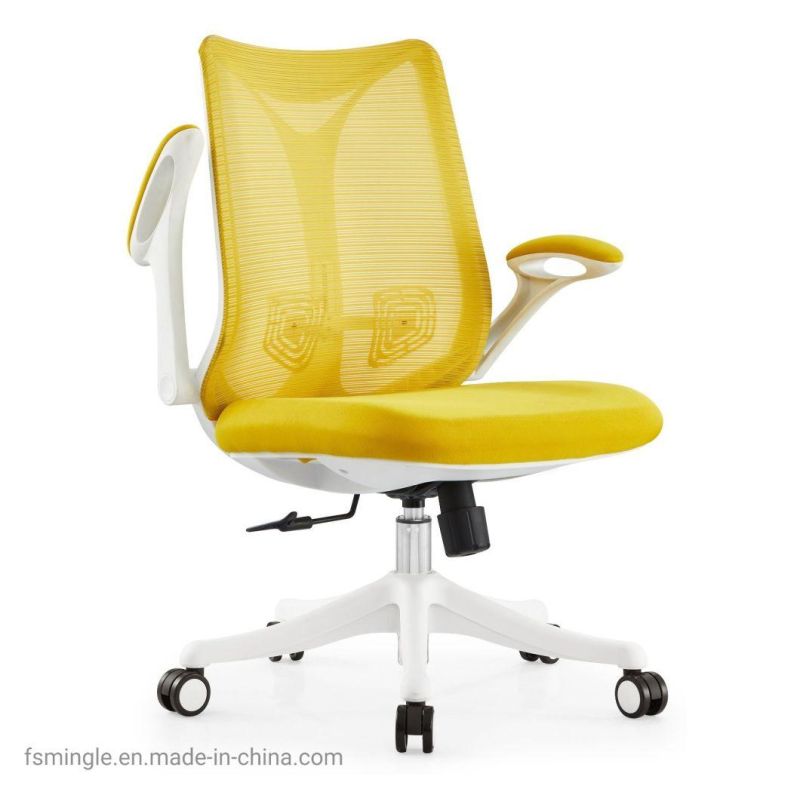 Ahsipa Furniture Ergonomic Middle Back Adjustable Swivel Mesh Office Chair