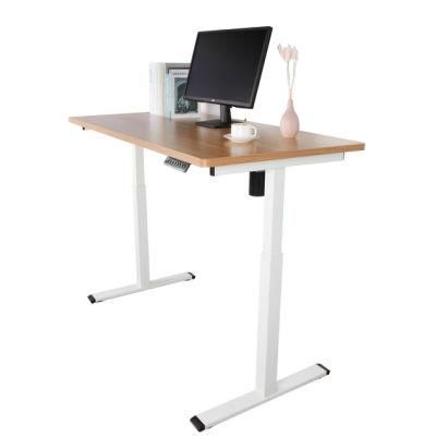 Height Adjustable Single Student Table School Electric Standing Desk