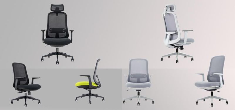 SGS Approved Class 3 Adjustable Armrest Folding Chair China Whosale