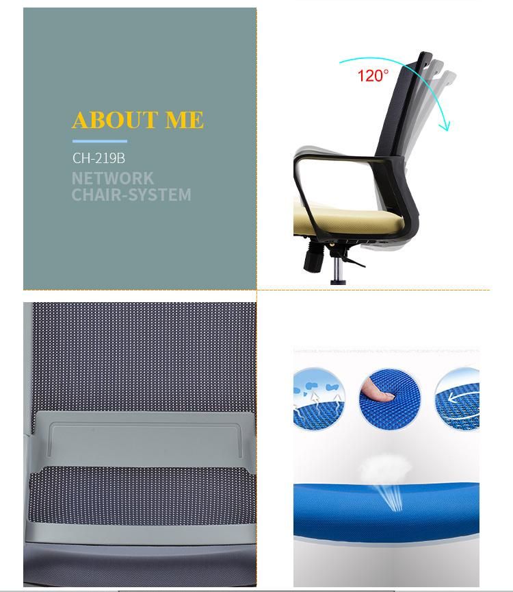 Competitive Price Ergonomic Mesh Adjustable Back Rest Executive Ergonomic Europe Design Office Furniture Chair