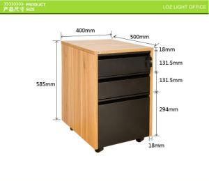 Commercial Furniture General Use Storage Cabinet