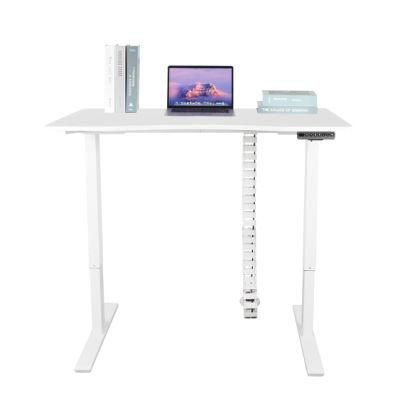 Electric Height Adjustable Standing Computer Desk with Dual Motor