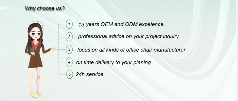 Modern Premium Ergonomic Design Mesh Office Furniture Meeting Room Staff Chair