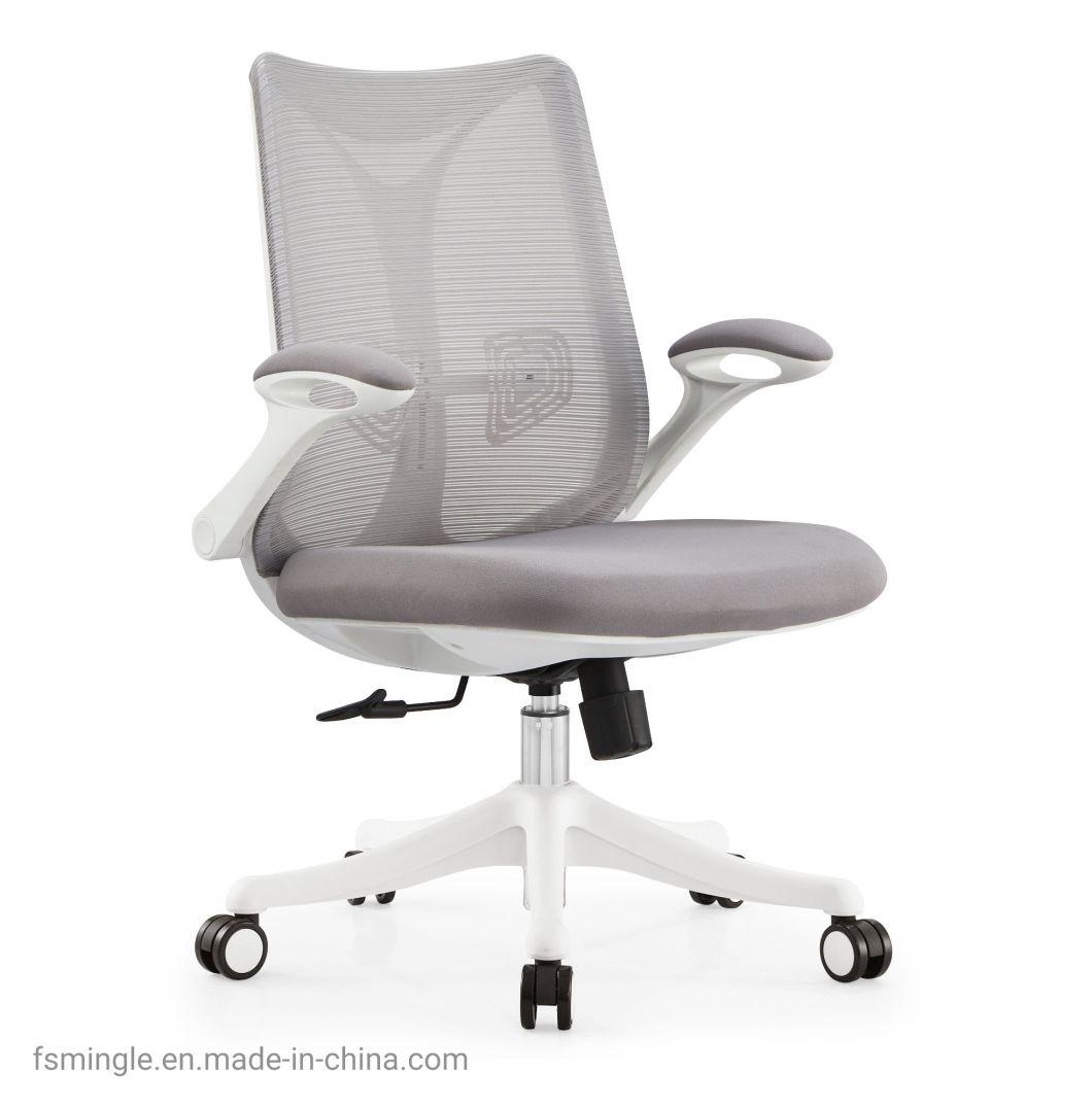 Ahsipa Furniture Ergonomic Middle Back Adjustable Swivel Mesh Office Chair