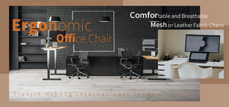 570*540*940 Meeting Room Furniture Black Executive Modern Ergonomic Adjustable Breathable Computer Home Office Chair