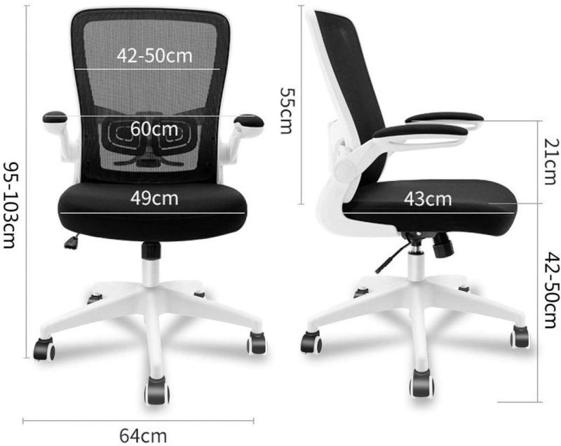 Li&Sung 10042 Ergonomic Swivel Lumbar Office Chair