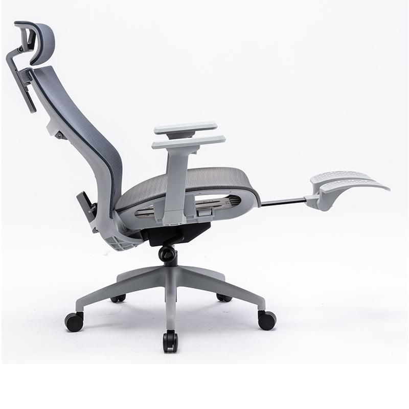 Li&Sung 10275 Ergonomic Executive Computer Swivel Chair