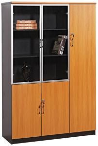 Fireproof Finish 2 Door Bookshelf Bookcase File Cabinet 2018 New Modern Design Office Furniture