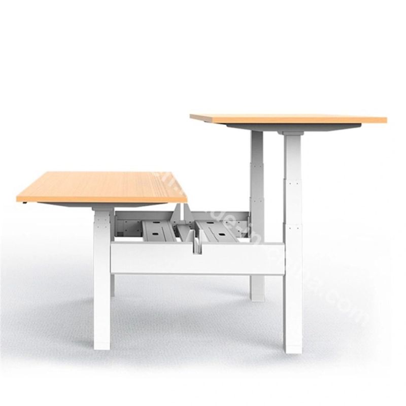 Face to Face Electric Height Adjustable Sit Stand Desk Frame