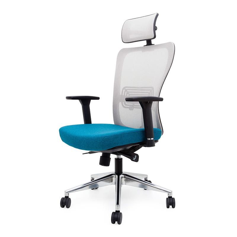 Many Colors Mesh Executive Office Chair with Headrest