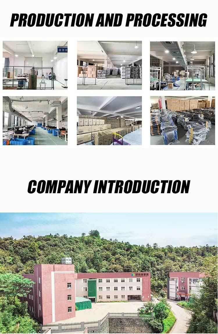 Factory Price Racing Style Leather Office Chair with ISO Certification